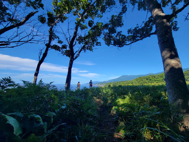 �m���A�E�g�h�A�K�C�h�Z���^�[