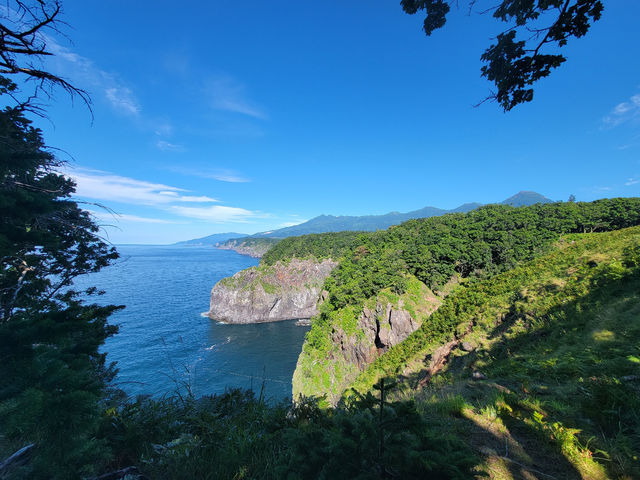 �m���A�E�g�h�A�K�C�h�Z���^�[