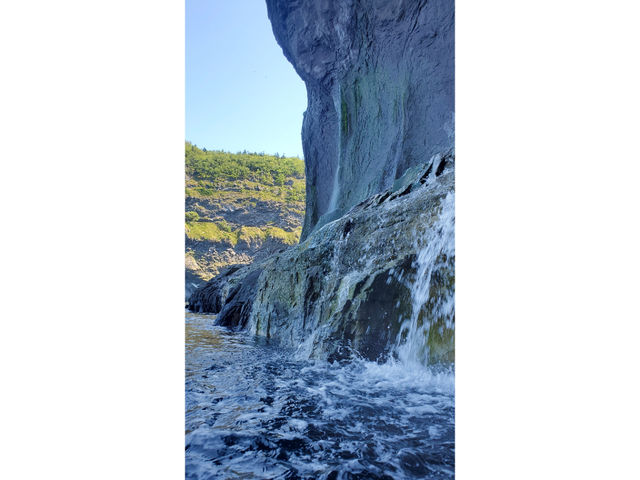 �m���A�E�g�h�A�K�C�h�Z���^�[