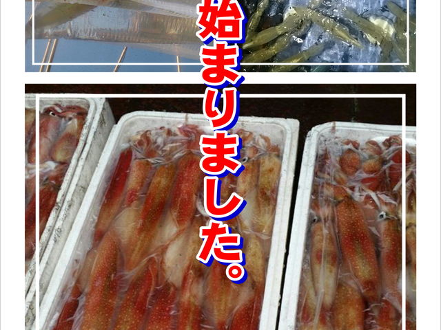 ����V���D�����s�[�X