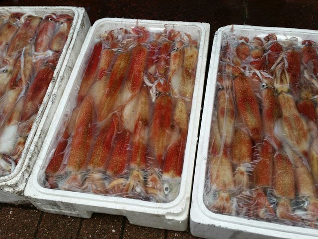 ����V���D�����s�[�X