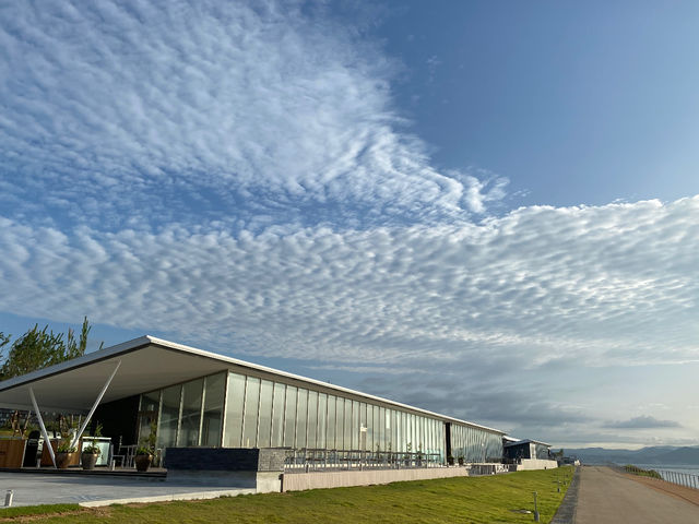 �A�N�A�C�O�j�X�W�H��