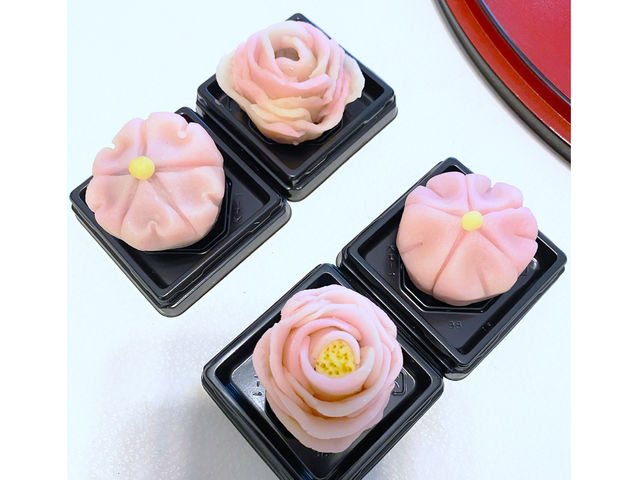 �l���T�����h���[�Y