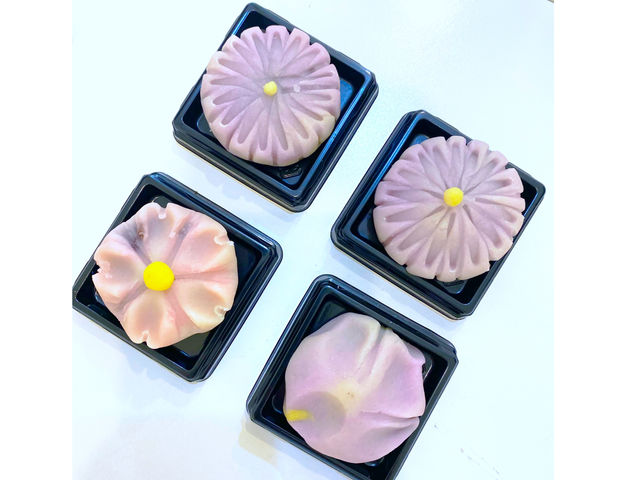 �l���T�����h���[�Y