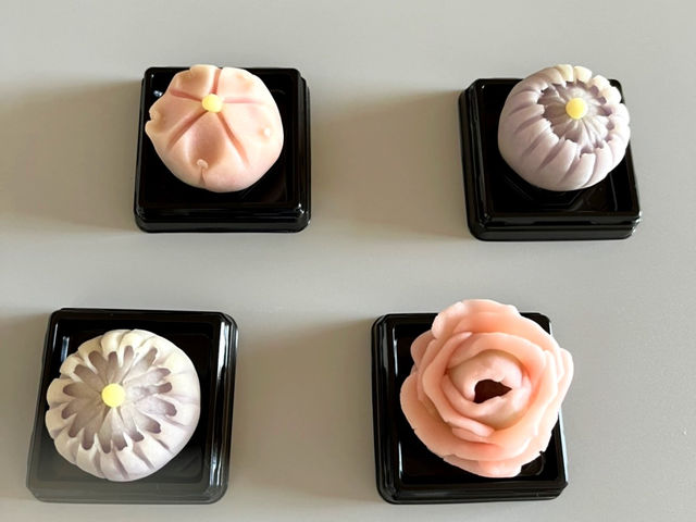 �l���T�����h���[�Y