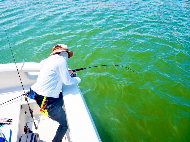 ނyނƂo܂BȊŎvʑ啨|邩I_Abv^ChN[Y