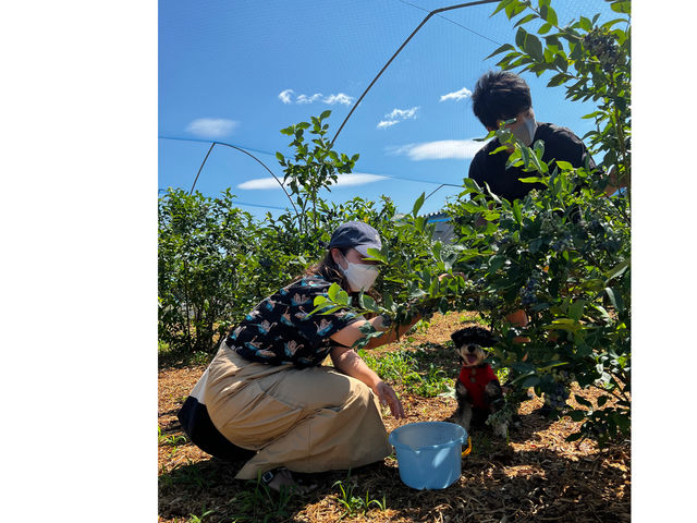 �M�B�R�`�� B.B���� �u���[�x���[�t�@�[��