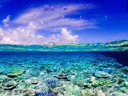 Marine Serviceɂ̎ʐ^2