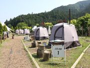 �m�[�����I�̎ʐ^2