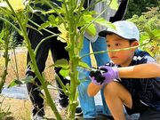 58���n�X�t�@�[���@�u���[�x���[���̎ʐ^2