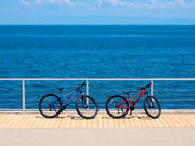 �A�N�A�C�O�j�X�W�H���̎ʐ^4