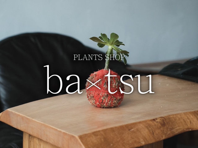 ba�~tsu�̎ʐ^1
