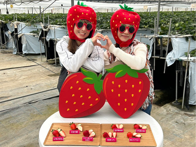 ���܂肢�����̗� LCFARM(�G���V�[�t�@�[��)