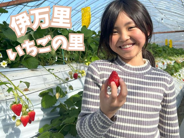 ���܂肢�����̗� LCFARM(�G���V�[�t�@�[��)�̎ʐ^1