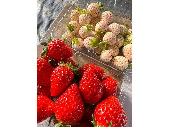 ���܂肢�����̗� LCFARM(�G���V�[�t�@�[��)