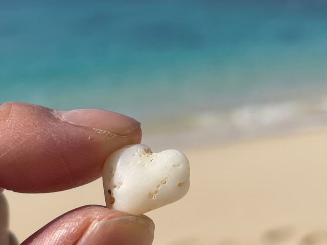 �A�g���Gdory