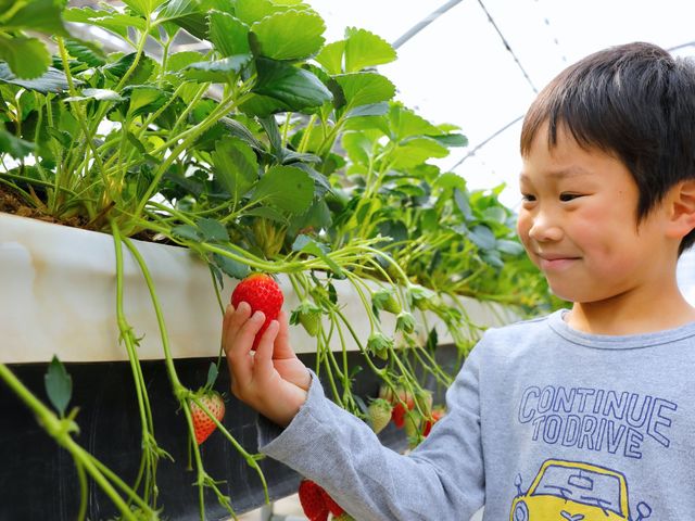 �������̃x���`�͂��q�l�̖ڐ��̍����ɐ݌v����Ă��܂�_��������_�� �т�΃t�@�[��