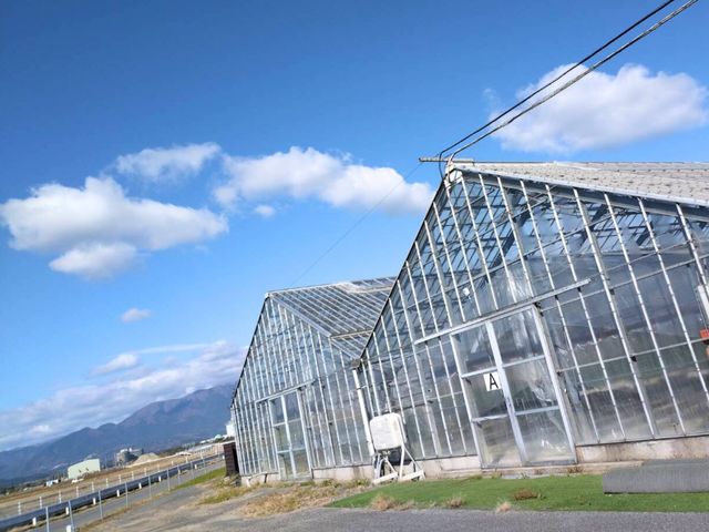 �O�p�����̃n�E�X���ڈ�ł�_��������_�� �т�΃t�@�[��