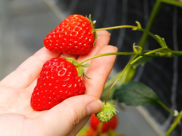 ���������͂������45���Ԃł�_��������_�� �т�΃t�@�[��