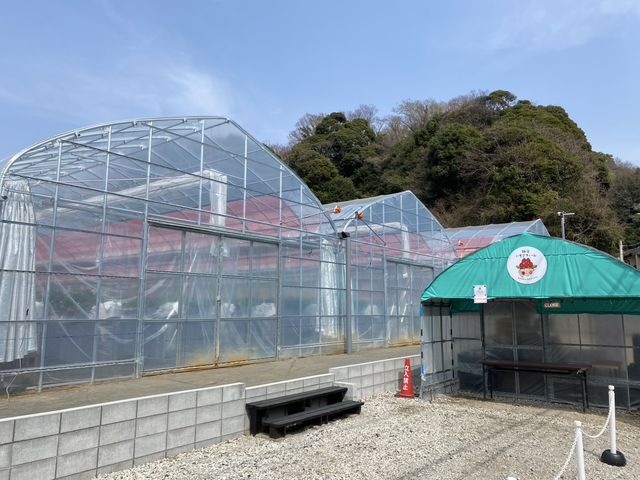 ���q�������t�@�[��