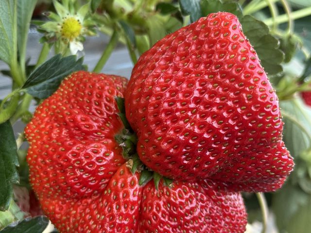 �O�q����?_���˓y���_��