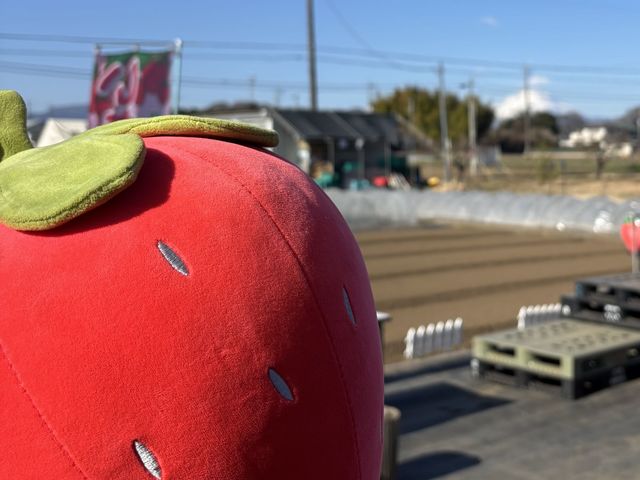 ���˓y���_��