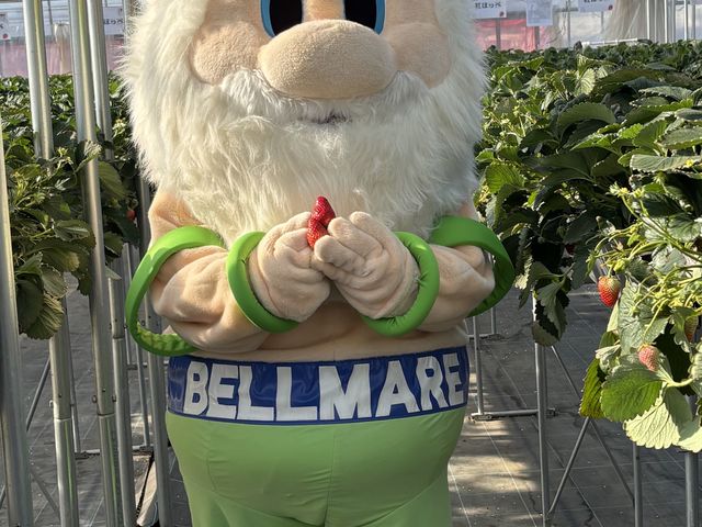 �L���O�x���������܂����I�I_���˓y���_��