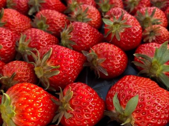 ���˓y���_��