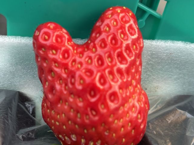 ���˓y���_��