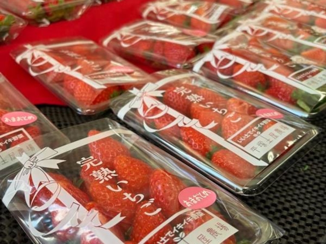 ���˓y���_��