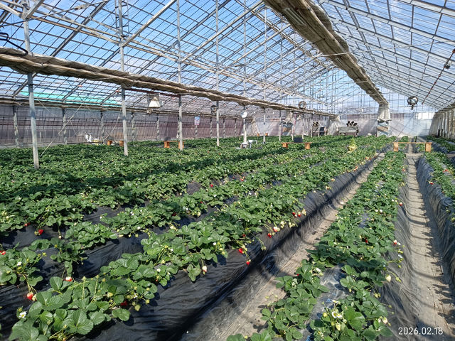 �V��̍����n�E�X�Ő�����Ȃ��炢���������y���߂܂��B_��󂢂�����