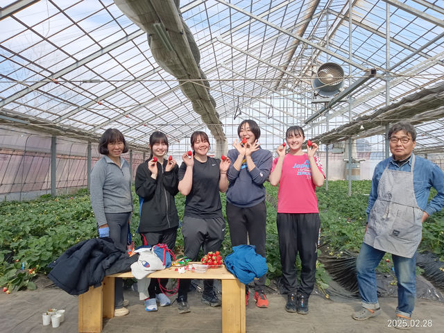 ��󂢂�����