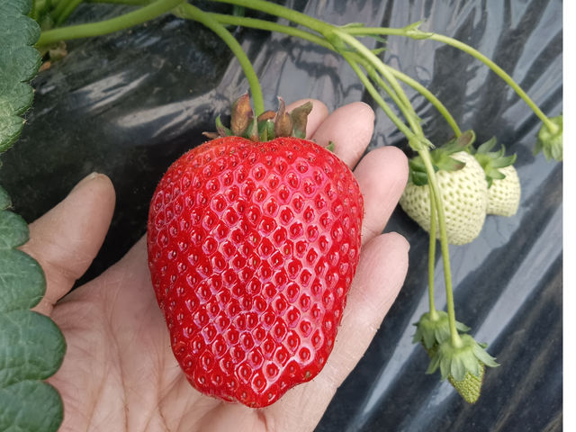 �傫�ȂƂ�����������������Ȃ��Ă܂��B_��󂢂�����