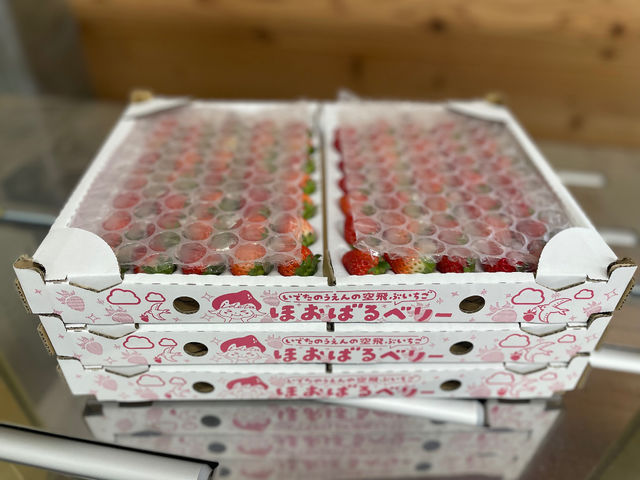 �n������������܂���_�����ό��������� �ق��΂�t�@�[��