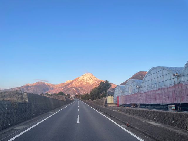 ���������̃n�E�X�͓����̖L���Ȏ��R�Ɉ͂܂�Ă��܂���_�����ό��������� �ق��΂�t�@�[��