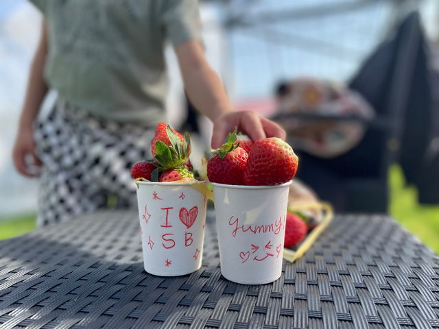 �A�i�^�����C�ɓ����1�����B���Ă݂Ă��������ˁ�_�����ό��������� �ق��΂�t�@�[��