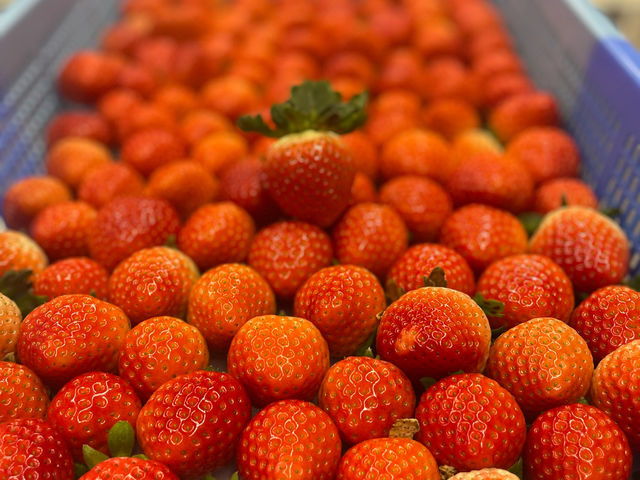 �������̌��򂪈Ⴂ�܂������L���L����_�����ό��������� �ق��΂�t�@�[��