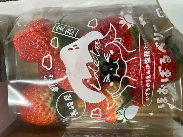 �������A��̂��������̔����Ă��܂���_�����ό��������� �ق��΂�t�@�[��