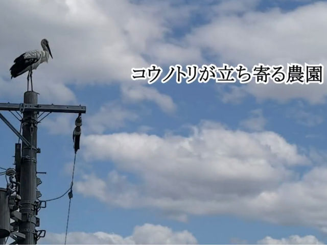 ���������x���[LABO