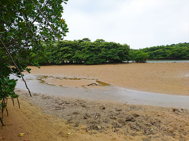 ̋{ǐ͕ԂɁB̂߃X^[gԂ͖ς܂_}O[ucA[ςʓό