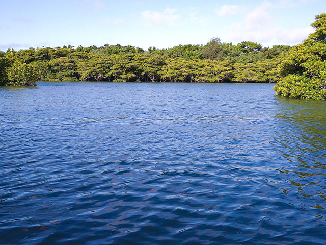 ̋{ǐB{Iɂ̖̓Oɍ킹ăX^[g܂_}O[ucA[ςʓό