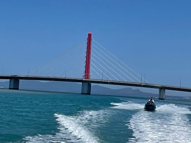 AK�}��������̎ʐ^1