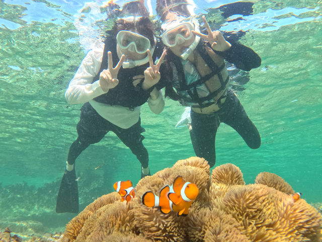 �u���m���Ńj���Əo��銴���̌��B�󐣂�����S�X�^�[�g�A�ʐ^�����t���ŉƑ��ɂ��l�C�v
_SUNDOGS