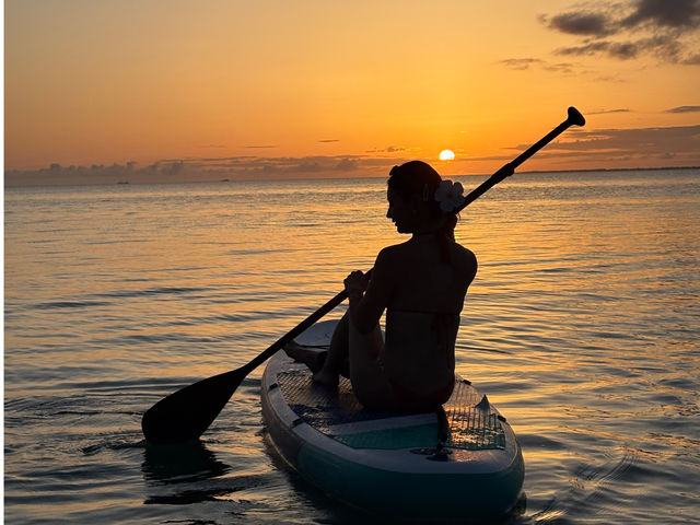 �u�S�������T���Z�b�gSUP�B�g�̉��Ɨ[�z�ɕ�܂����ʂȂЂƂƂ����v
_SUNDOGS