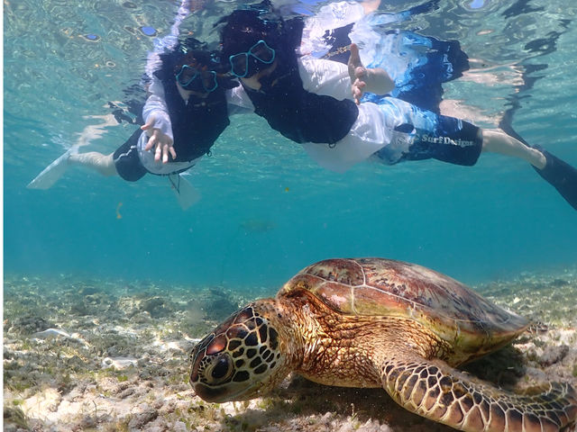 ���m���ŃE�~�K���ɏo��銴���̌��I�I
���߂Ăł����S�̃r�[�`�G���g���[�I
_SUNDOGS