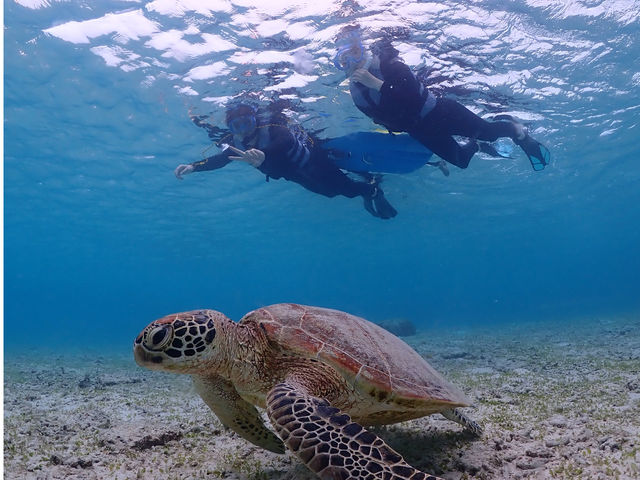 �ʔN�J�ÁI�I
�~�̊C�͓����x�������������߂ł��I_SUNDOGS