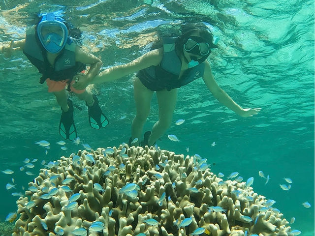 �����ƃT���S�Ɉ͂܂�āA�܂�Ő����̂��Ƃ��b�B������̊����悤_SUNDOGS