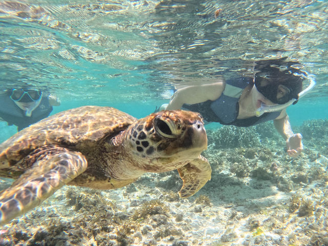 �C�T�Ɩڂ����������B
�Y����Ȃ����Ԃ������ɂ���c_SUNDOGS