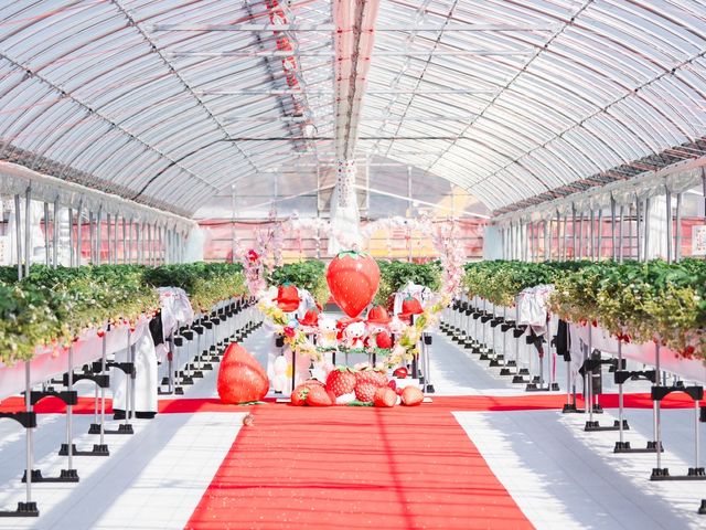 Lien Ferme(�������_��)�̎ʐ^1