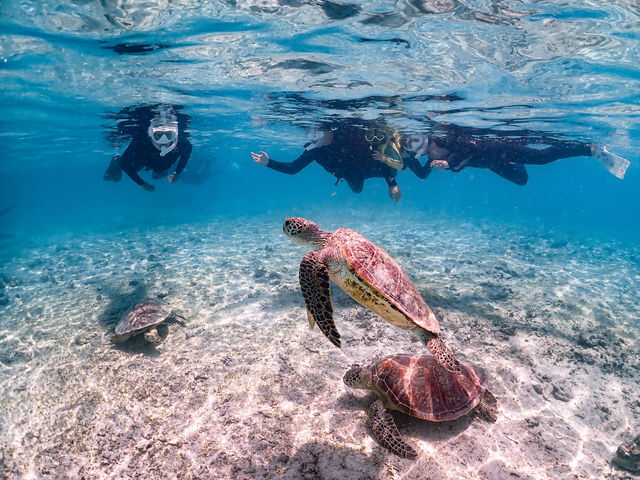 ��R�̃E�~�K���ɂ���邩���I�H_SUNSHINE MARIN �{�Ó�